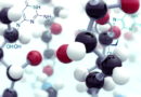 Introducing the Organic Chemistry course in EISB