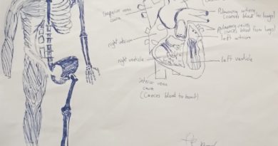 A Journey with EISB Students: Discovering the Wonders of the Human Body