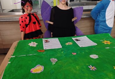 Designing costumes and habitats: Insects