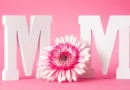 To our mothers