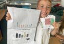 Turning Small Classes into Big Learning: Creative Graphing with Limited Data