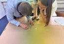 MYP 5 Hot Wheels Laboratory in Physics Class