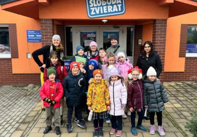 Another Visit to the Local Dog Shelter with the Pet Club Students