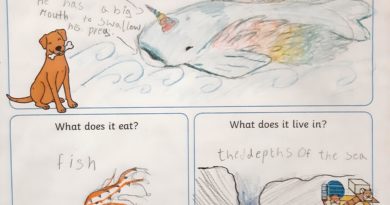 Fur, Feathers, and Fins: Y3’s Creative Creatures