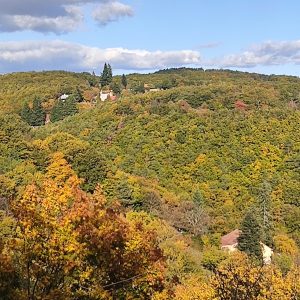Autumn Landscape by Samuel Sopka