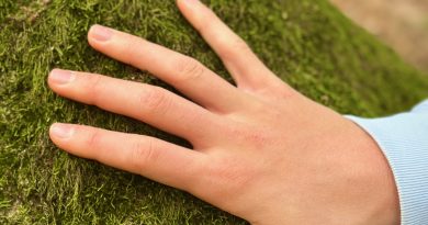 Reconnect and Recharge: The Healing Power of Spending Time in Nature