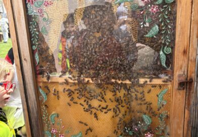 🐝 A Sweet Learning Adventure: Our Visit to the Honey Farm