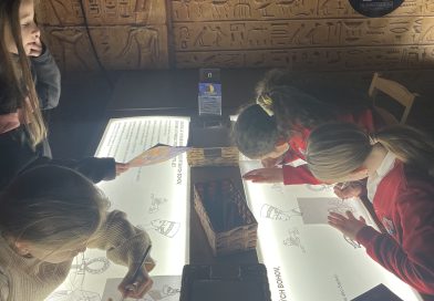 Upper Primary Visit the Tutankhamun Exhibition