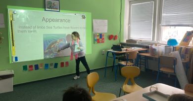 Sea turtle life cycle – by Linda Färberová (year 4)