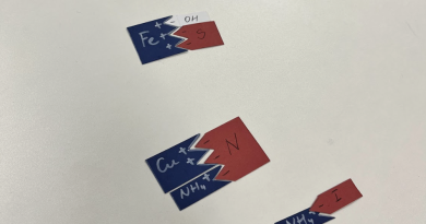 Challenging journey of Year 10-11 students in chemistry studies