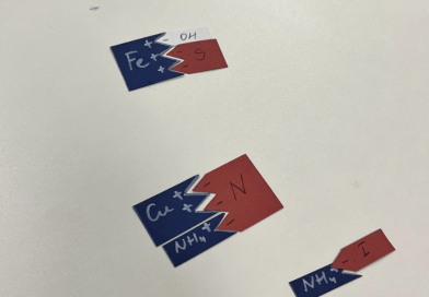 Challenging journey of Year 10-11 students in chemistry studies