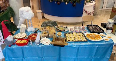 Bake Sale Results – By Anna (CAS DP1)