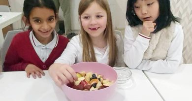 Fruit Salad: Learning Through Experience