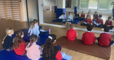 Making Reflection Visible