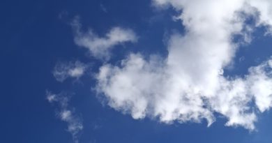 Drone/3D modeling club