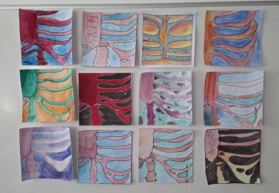 Year 10 Anatomy unit