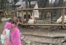 ZOO trip