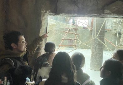 Year 5 Zoo Visit – Learning Beyond the Classroom