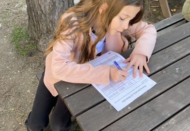 Exploring Materials Around Us