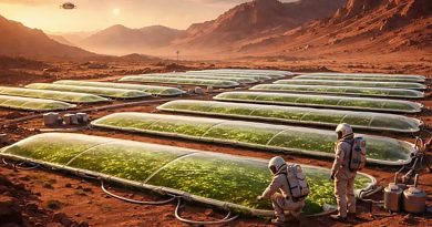 Greenhouses on Mars