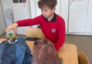 Year 5 Open House: Exploring Materials and Reactions