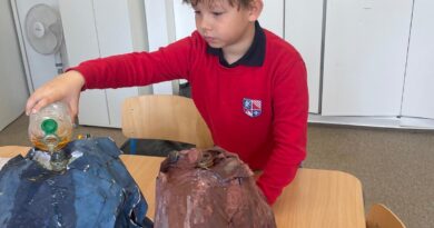 Year 5 Open House: Exploring Materials and Reactions