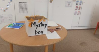 Curiosity Sparks Learning: Unpacking the Mystery Box of Community Life. 🎁