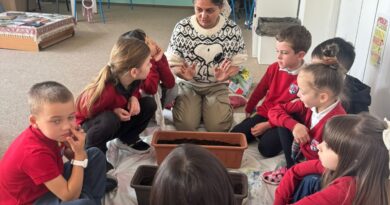 Tiny Seeds, Big Learning: Grade 2-B Inquiry Journey 🌱