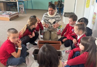 Tiny Seeds, Big Learning: Grade 2-B Inquiry Journey 🌱