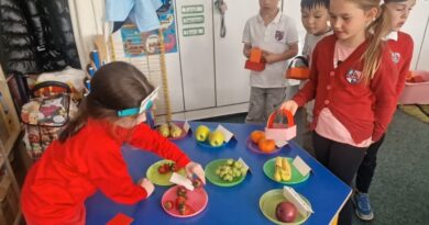 From Shopping to Chopping!