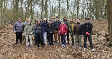 Twelfth-grade students planted trees in Koliba