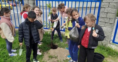 Earth Day with Year 3 – Small Actions, Big Impact.