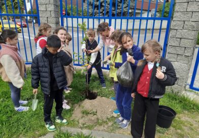 Earth Day with Year 3 – Small Actions, Big Impact.