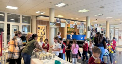 🍿🎬 Lights, Camera, Fun! – Primary Movie Night ✨