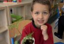 🌱 Planting Seeds of Learning: Exploring Nature’s Cycles
