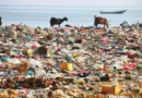 Plastic Pollution: A Global Issue and Our Responsibility – By Anyi – CAS