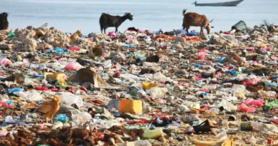 Plastic Pollution: A Global Issue and Our Responsibility – By Anyi – CAS