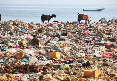 Plastic Pollution: A Global Issue and Our Responsibility – By Anyi – CAS