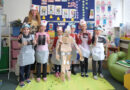 Year 2 Spanish Highlights