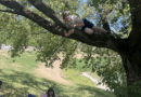 First day after school – Kuchajda chill