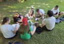 Exploring the Wonders of the Botanical Gardens