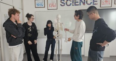 How We Learned Movement Types in Practice