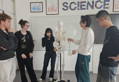 How We Learned Movement Types in Practice