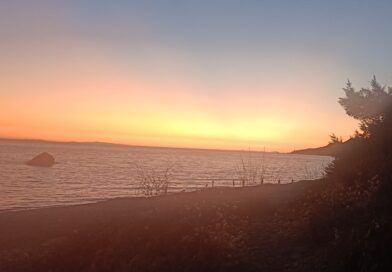 Middle August Sunsets