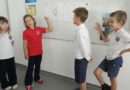 Animal Signals: How Do They Communicate?
