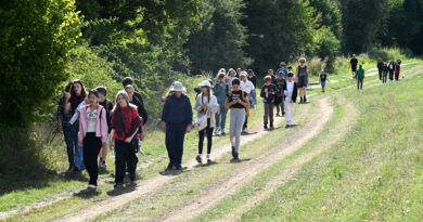 Tesáre Camp – Sept 2026