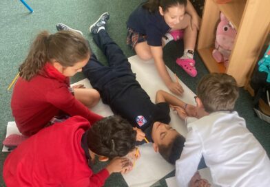 Inside the Human Body: An Inquiry Begins