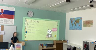 Linda Takes the Initiative with a Panda Presentation