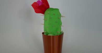 Art Club – Cactuses