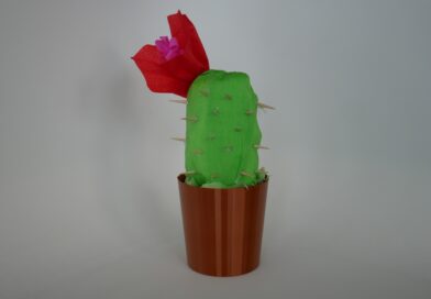 Art Club – Cactuses